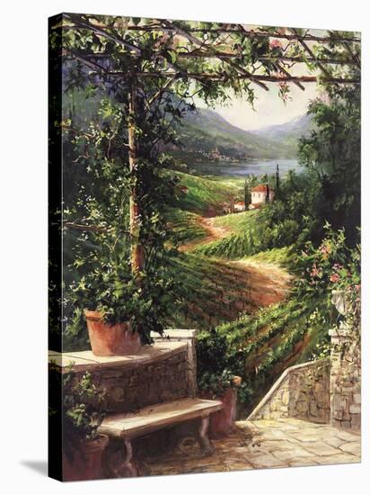 Chianti Vineyard-Art Fronckowiak-Stretched Canvas