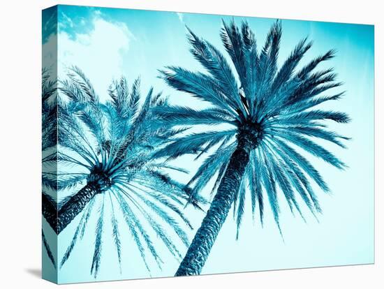 Chic Palms-Tai Prints-Premier Image Canvas