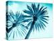 Chic Palms-Tai Prints-Premier Image Canvas