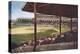 Chicago Baseball Field-null-Stretched Canvas