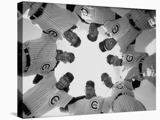 Chicago Cubs' Eight Coaches-Francis Miller-Premier Image Canvas