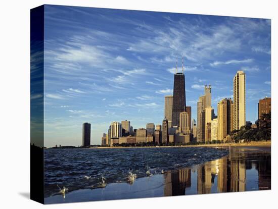 Chicago, Illinois, USA-Danielle Gali-Premier Image Canvas