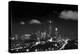 Chicago Night Lights-Steve Gadomski-Premier Image Canvas