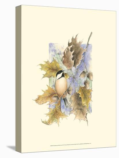 Chickadee and Oak Leaves-Janet Mandel-Stretched Canvas