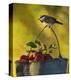 Chickadee Apples-Chris Vest-Stretched Canvas