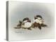 Chickadees and Holly-Peggy Harris-Premier Image Canvas