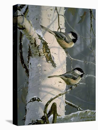 Chickadees at Dawn-Bruce Miller-Premier Image Canvas