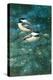 Chickadees-William Vanderdasson-Premier Image Canvas