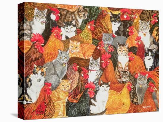 Chicken-Cats-Ditz-Premier Image Canvas