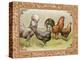 Chicken III-null-Stretched Canvas