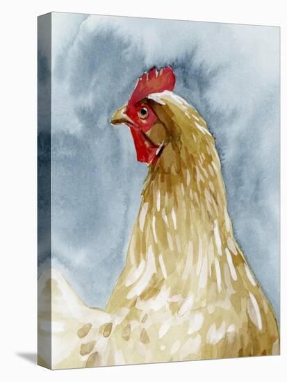 Chicken Portrait I-Emma Caroline-Stretched Canvas