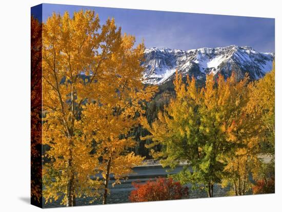 Chief Joseph Mountain-Steve Terrill-Premier Image Canvas