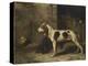 Chien brifauts-Alexandre Gabriel Decamps-Premier Image Canvas