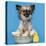 Chihuahua, 16 Months Old, Sitting In Front Of Blue Background With Easter Basket-Life on White-Premier Image Canvas