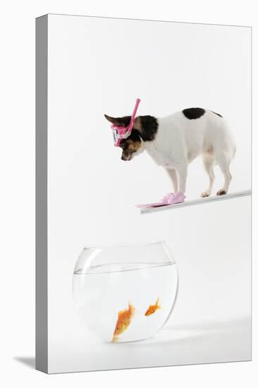 Chihuahua in Scuba Gear over Goldfish Bowl-null-Premier Image Canvas