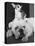Chihuahua Seated on a Bulldog-Bettmann-Premier Image Canvas