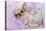 Chihuahua Wearing Pink Collar Laying on Purple-null-Premier Image Canvas