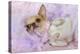 Chihuahua Wearing Pink Collar Laying on Purple-null-Premier Image Canvas