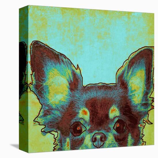 Chihuahua-null-Stretched Canvas