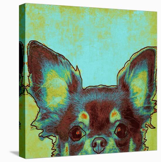 Chihuahua-null-Stretched Canvas