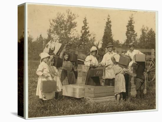 Children Carrying their Pecks of Cranberries to the Bushel Man at Theodore Budd's Bog-Lewis Wickes Hine-Premier Image Canvas