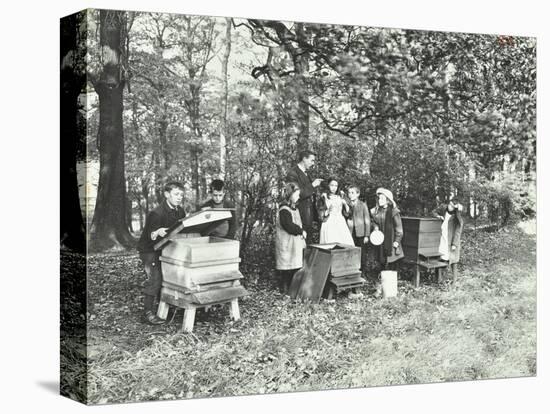 Children Feeding Bees for the Winter, Shrewsbury House Open Air School, London, 1909-null-Premier Image Canvas