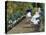 Children in a Garden (The Nurse)-Mary Cassatt-Premier Image Canvas