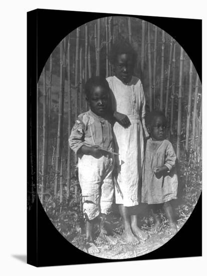 Children Near Petrópolis, Brazil, Late 19th or Early 20th Century-null-Premier Image Canvas