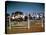 Children of Rancher Tom Hall Lined up on Fence-Loomis Dean-Premier Image Canvas