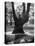 Children Playing and Climbing up Trees-Cornell Capa-Premier Image Canvas