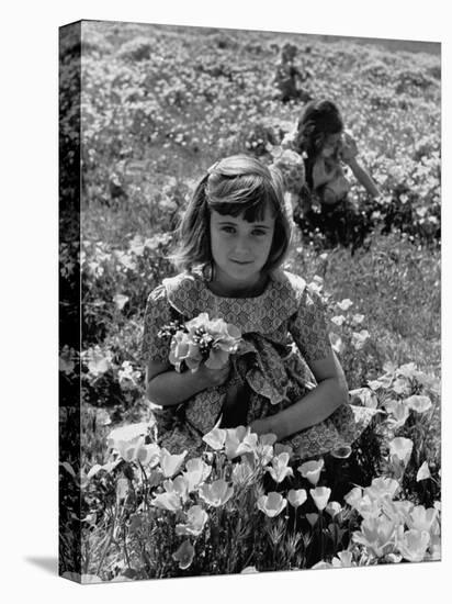 Children Playing in a Field of Wildflowers-J^ R^ Eyerman-Premier Image Canvas