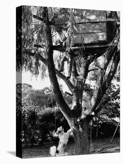 Children Playing in a Treehouse-Arthur Schatz-Premier Image Canvas