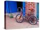 Children's Bicycle in Puerto Vallarta, The Colonial Heartland, Mexico-Tom Haseltine-Premier Image Canvas