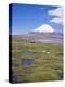 Chile, Andes, Lauca National Park, Lake Chungara and Volcan Parinacota, 6300M-Geoff Renner-Premier Image Canvas