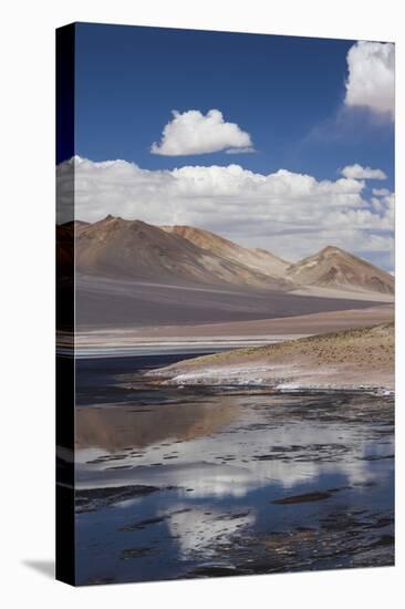 Chile, Atacama Desert, Salar De Aguas Calientes, Salt Pan and Lagoon-Walter Bibikow-Premier Image Canvas