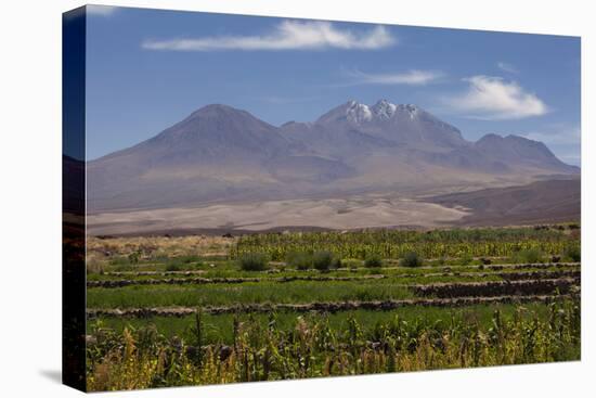 Chile, Atacama Desert, Socaire, Mountains and Fields-Walter Bibikow-Premier Image Canvas