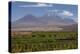 Chile, Atacama Desert, Socaire, Mountains and Fields-Walter Bibikow-Premier Image Canvas