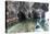 Chile, Aysen, Puerto Rio Tranquilo, Marble Chapel Natural Sanctuary. Kayaker.-Fredrik Norrsell-Premier Image Canvas