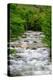 Chile, Aysen. Small mountain stream.-Fredrik Norrsell-Premier Image Canvas