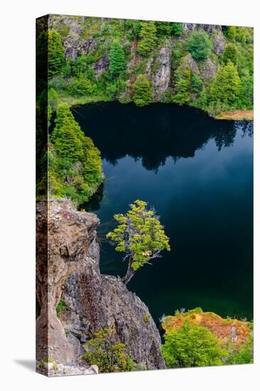 Chile, Aysen. Tree growing out of a cliff above a deep blue lake.-Fredrik Norrsell-Premier Image Canvas