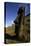 Chile, Easter Island, Rapa-Nui National Park, Rano Raraku, Anthropomorphic 'Moai' Monoliths-null-Premier Image Canvas