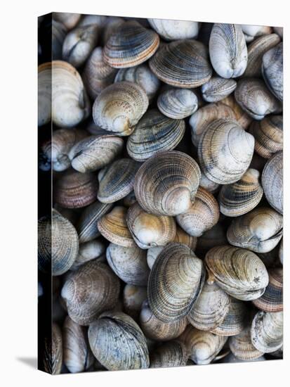 Chile, Los Lagos Region, Puerto Montt, Angelmo Harbor Market, Clams-Walter Bibikow-Premier Image Canvas