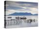 Chile, Magallanes Region, Puerto Natales, Fishing Boats, Seno Ultima Esperanza Bay-Walter Bibikow-Premier Image Canvas