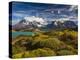 Chile, Magallanes Region, Torres Del Paine National Park, Lago Pehoe, Morning Landscape-Walter Bibikow-Premier Image Canvas