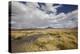 Chile, Pampas Incahuasi, Ischu Grass, Lagoon-Jutta Ulmer-Premier Image Canvas