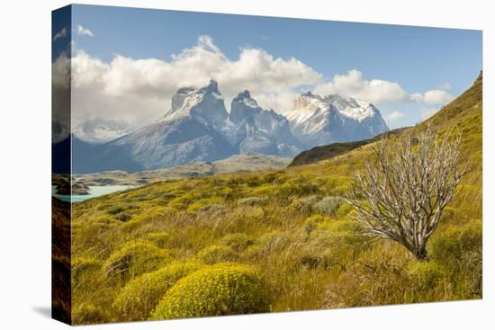 Chile, Patagonia. Lake Pehoe and The Horns mountains.-Jaynes Gallery-Premier Image Canvas