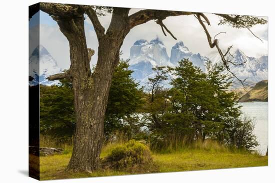 Chile, Patagonia. Lake Pehoe and The Horns mountains.-Jaynes Gallery-Premier Image Canvas