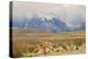 Chile, Patagonia. Rhea father and chicks.-Jaynes Gallery-Premier Image Canvas