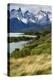 Chile, Patagonia Torres del Paine National Park with Grasses-John Ford-Premier Image Canvas