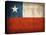 Chile-David Bowman-Premier Image Canvas